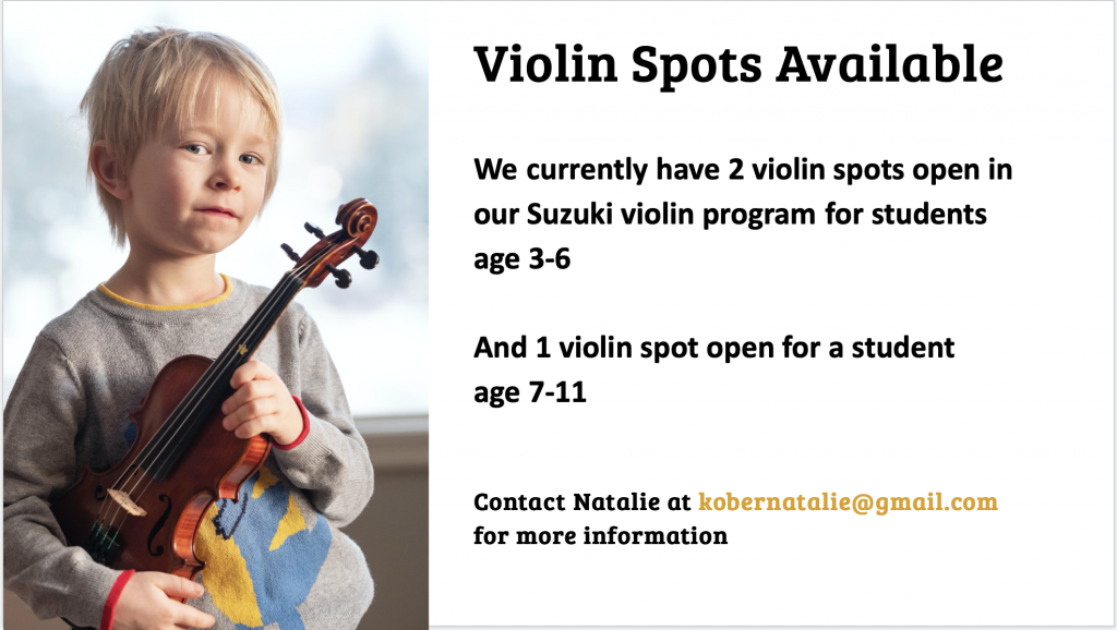 Violin lessons available at VCMS
